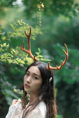 骄阳似我电视剧免费观看完整版